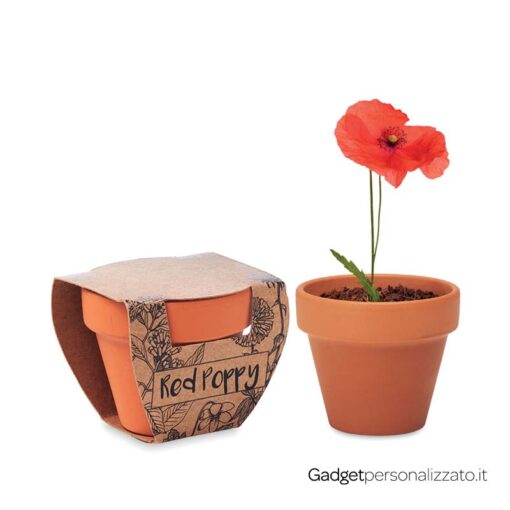 Piccolo vaso di terracotta Red Poppy con semi di papavero